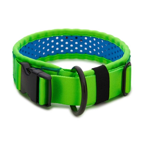 SOFTY Halsband | Länge: 55-61cm | Breite: 5,1cm | Farbe: grün/blau